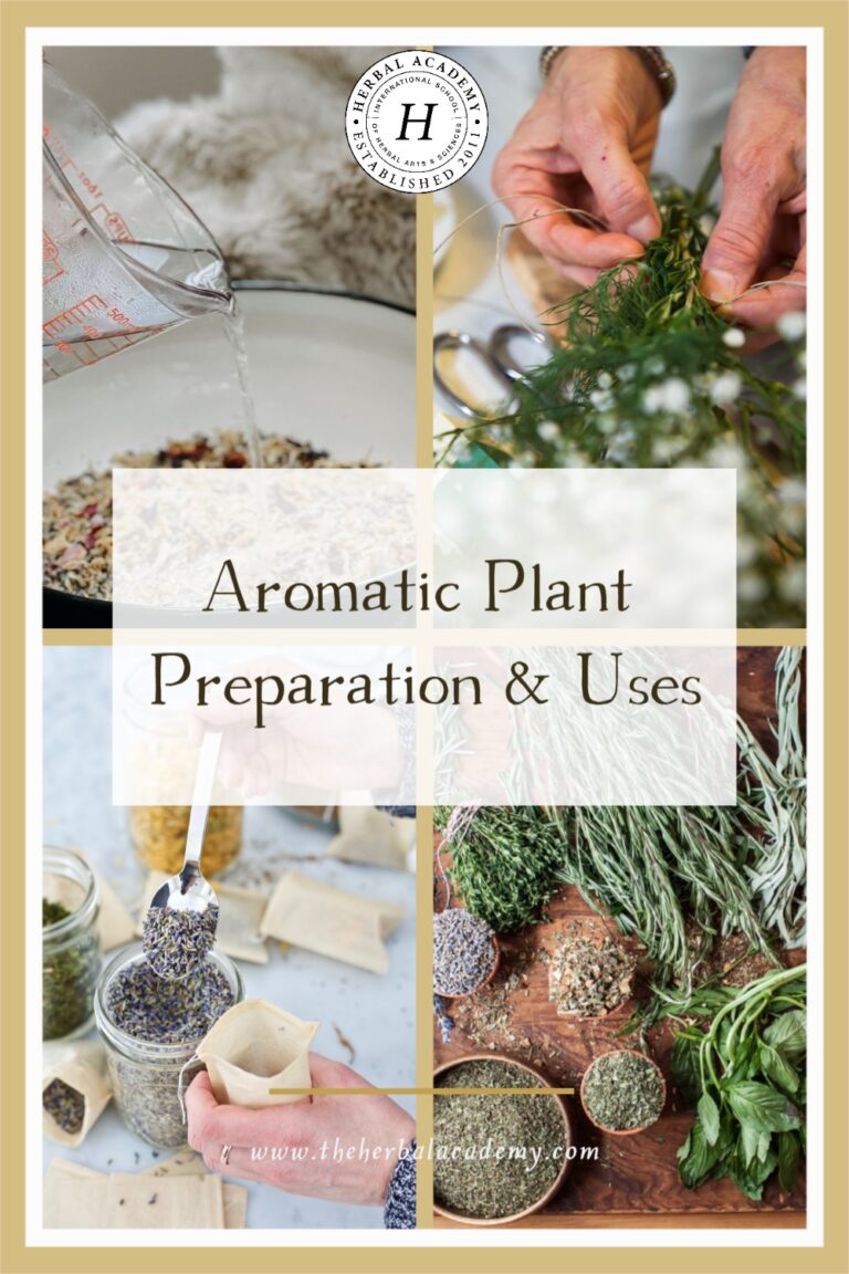 Aromatic plant preparation and uses with herbs
