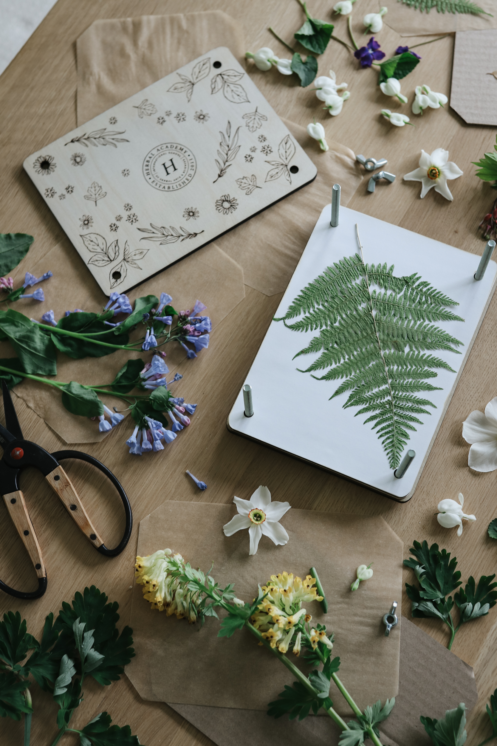 Field Flower Press – Herbal Academy