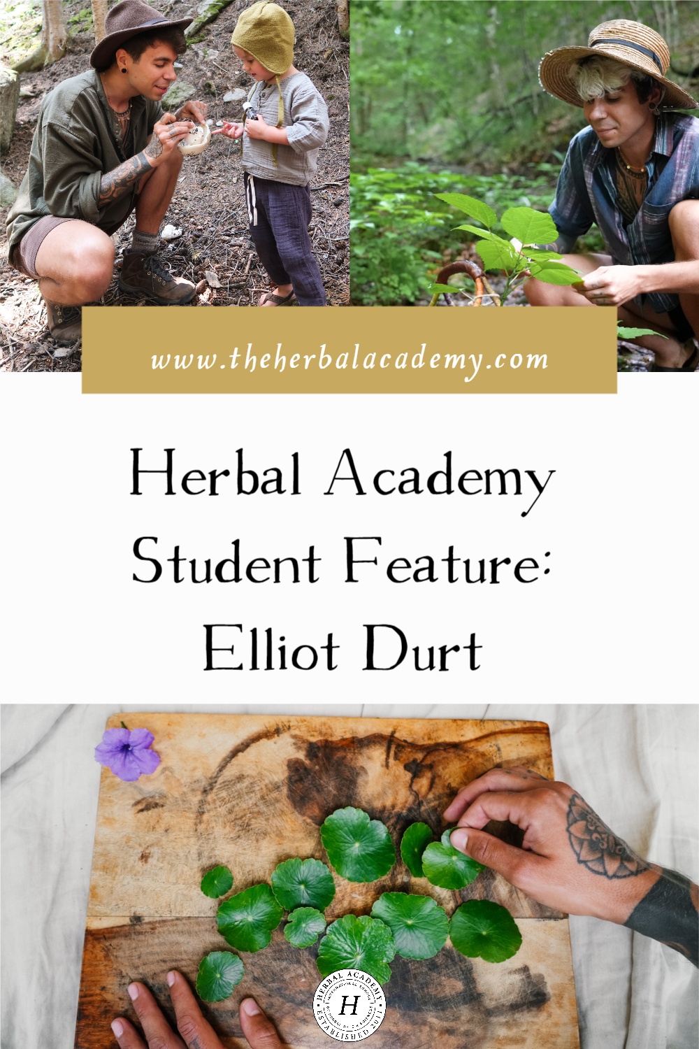 Herbal Academy Student Feature: Elliot Durt | Herbal Academy | HA student, Elliot Durt, enjoys exploring different forests and bioregions, learning about the native herbs that grow in each area.