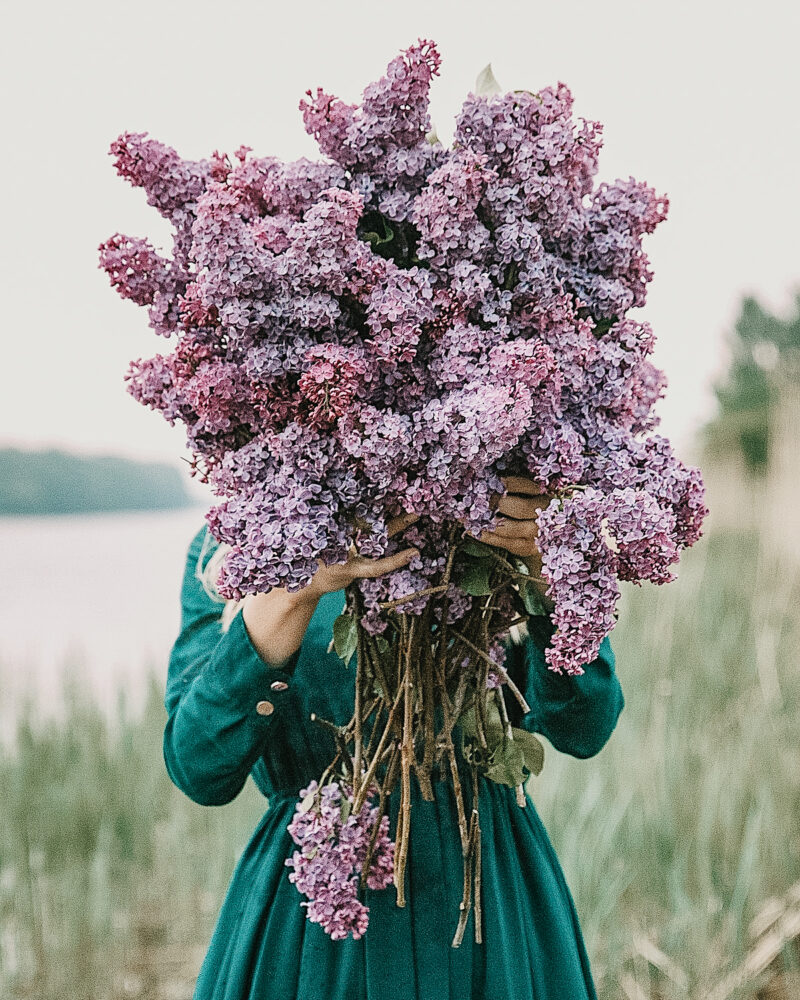 Herbal Academy Mothers Day lilacs