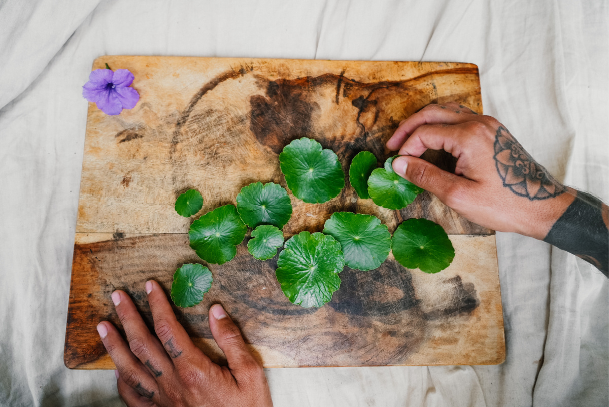 man's hand showing leaves on a cutting board
