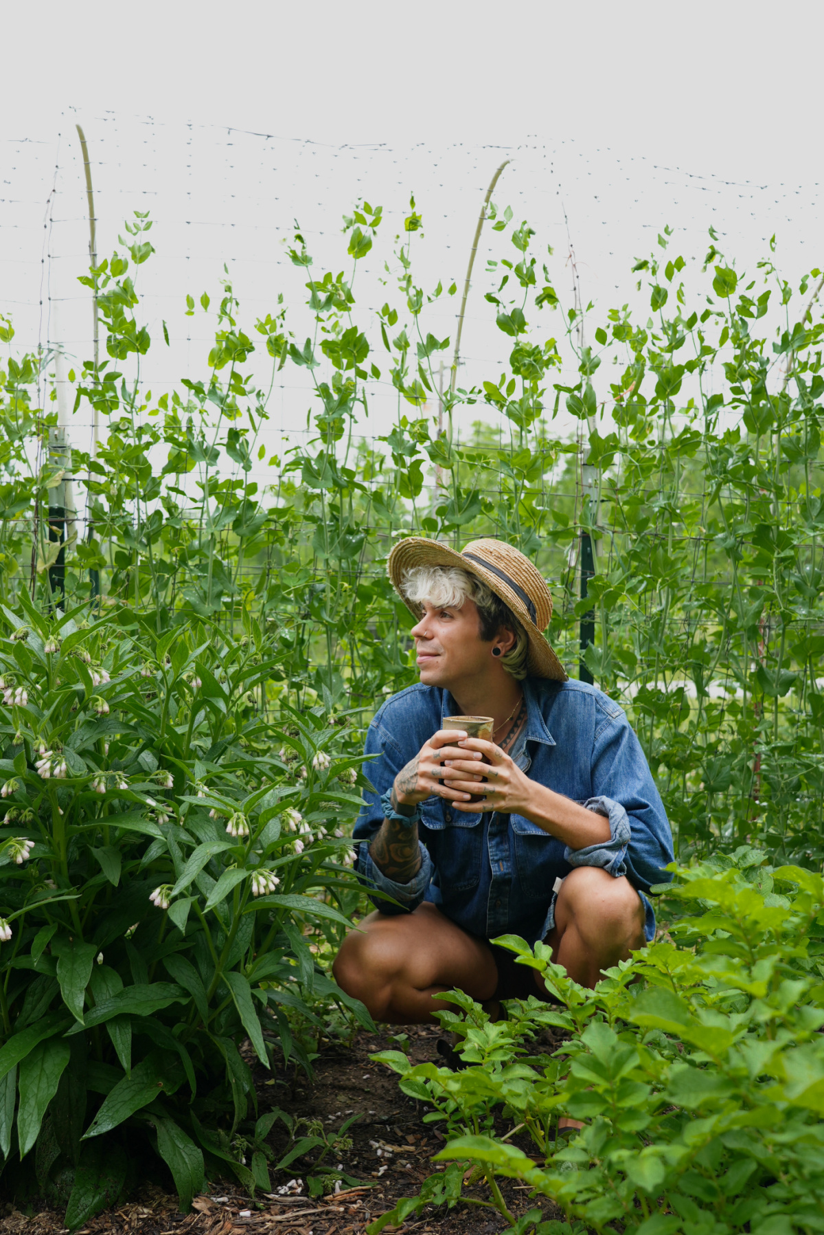 man holding a mug of tea and looking over a garden of herbs