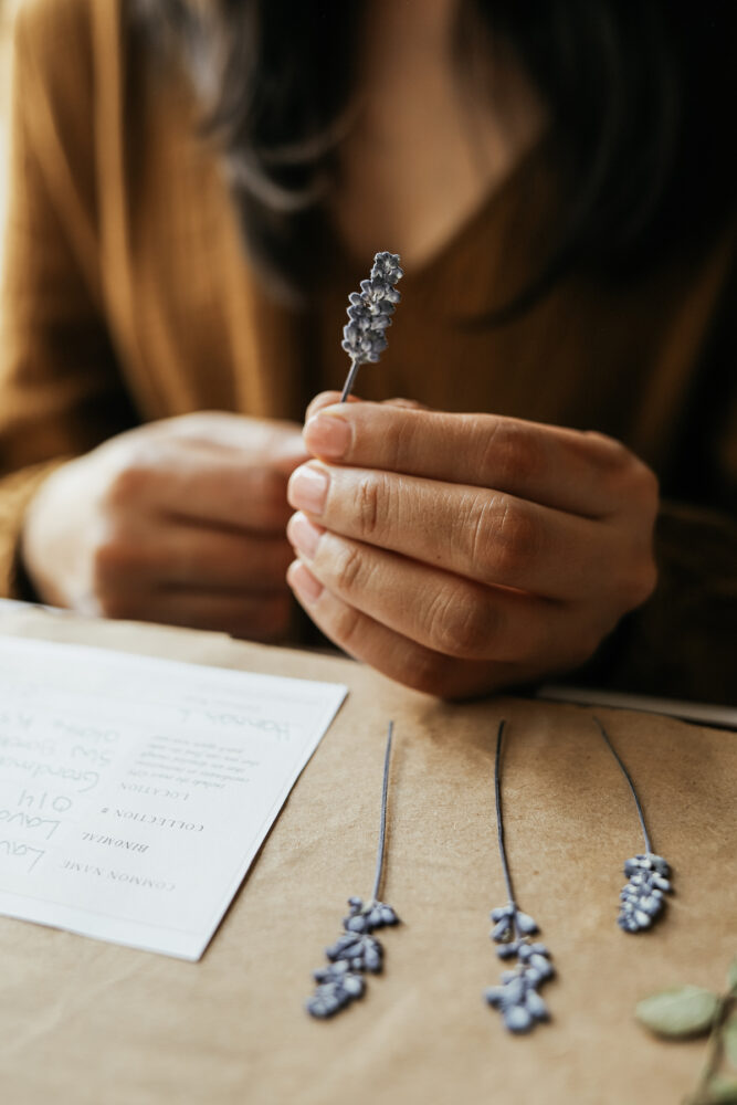 The Herbal Academy Flower Pressing for Herbalists Workshop