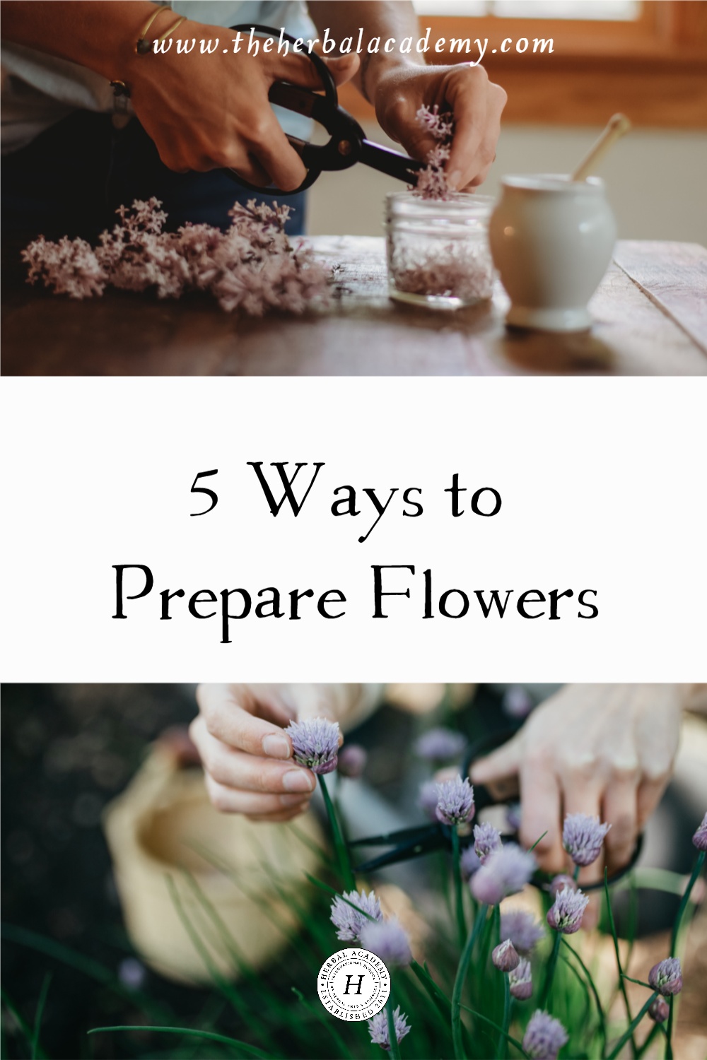 5 Ways to Prepare Flowers | Herbal Academy | Edible flowers are lovely on the side of the plate, but there are numerous creative ways to prepare flowers and add in meals and beverages.