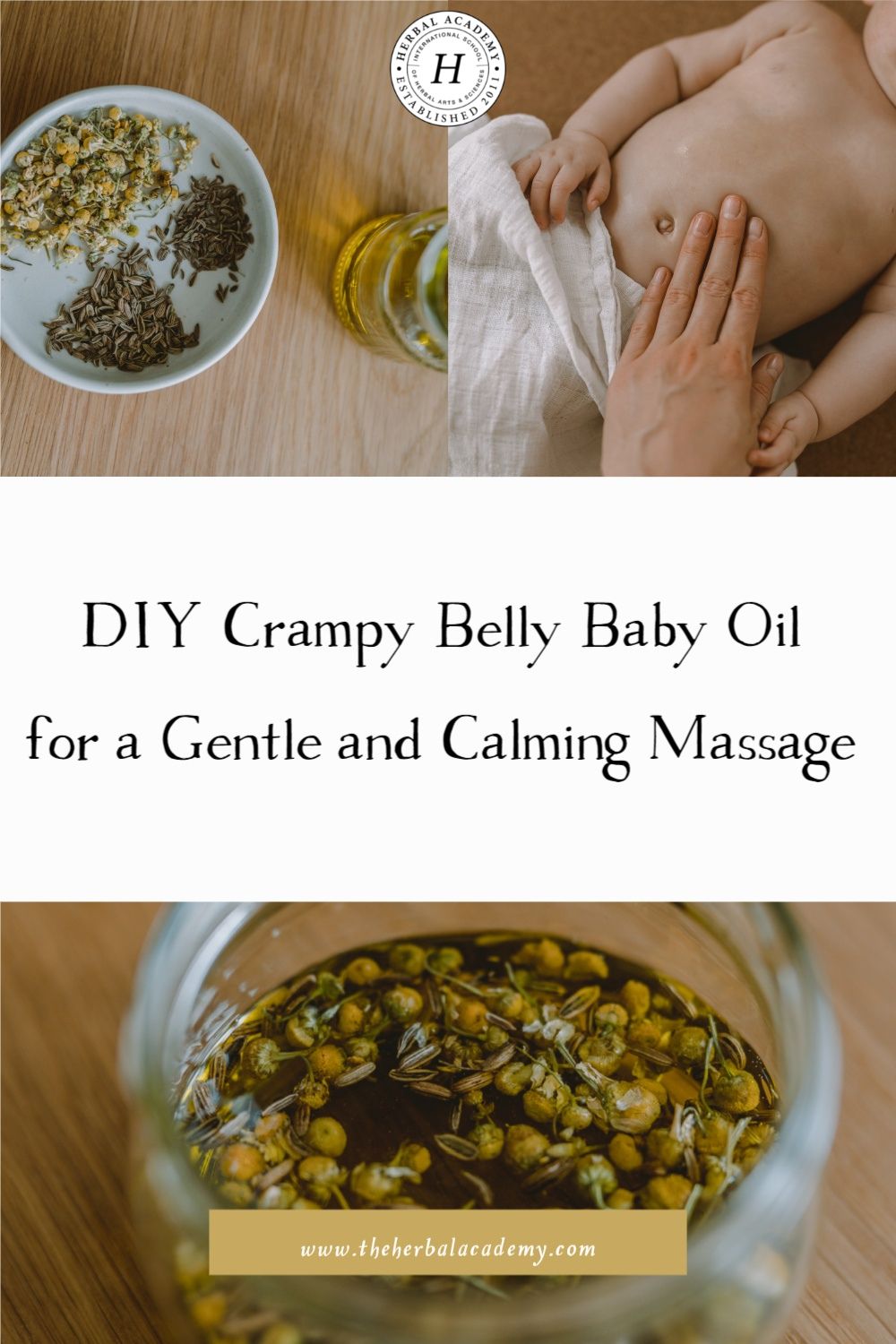 DIY Crampy Belly Baby Oil for a Gentle and Calming Massage | Herbal Academy | In this article, you will find an overview of some holistic approaches to colic and a recipe for a homemade herbal belly oil.