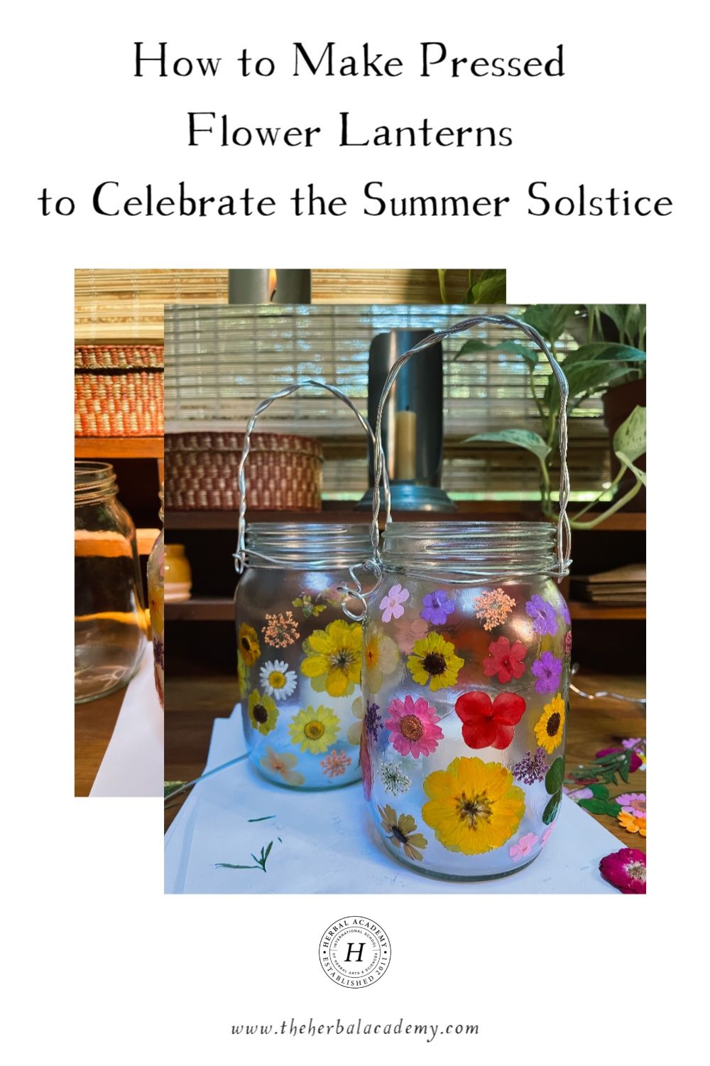 How to Make Pressed Flower Lanterns to Celebrate the Summer Solstice | Herbal Academy | As a way to celebrate the summer solstice, DIY flower lanterns are a creative way to encourage the sun to brighten the rest of the year.
