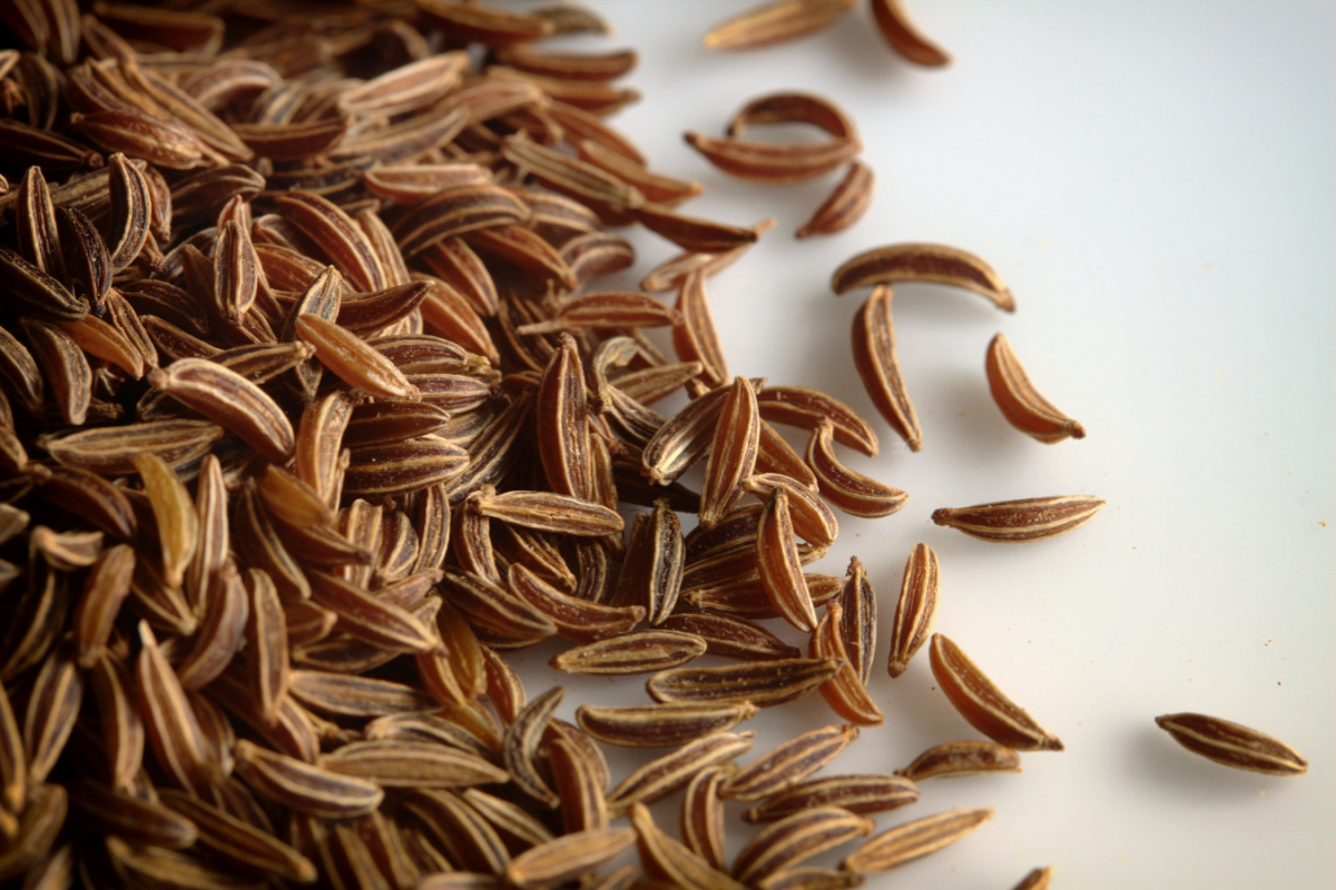 close up of caraway seeds