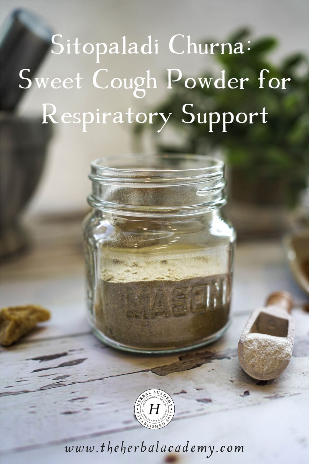 Sitopaladi Churna: Sweet Cough Powder for Respiratory Support | Herbal Academy | Whether you mix up a batch yourself or buy some ready-made, sitopaladi churna may become a household favorite for allergy and cold season!