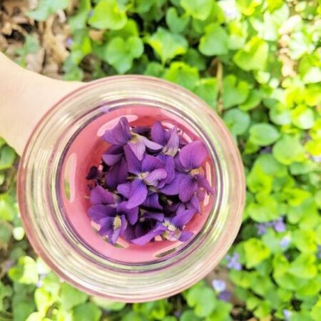 hand holding bowl of violets