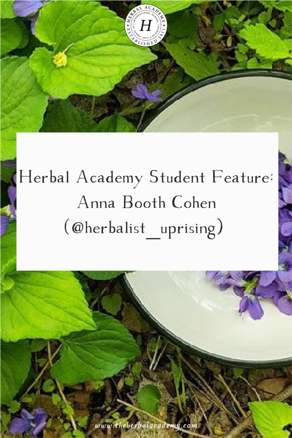 Herbal Academy Student Feature: Anna Booth Cohen (@herbalist_uprising) | Herbal Academy | Herbal Academy graduate, Ann Booth Cohen, shares about her herbal business that offers educational programs, herbal consults, and products.