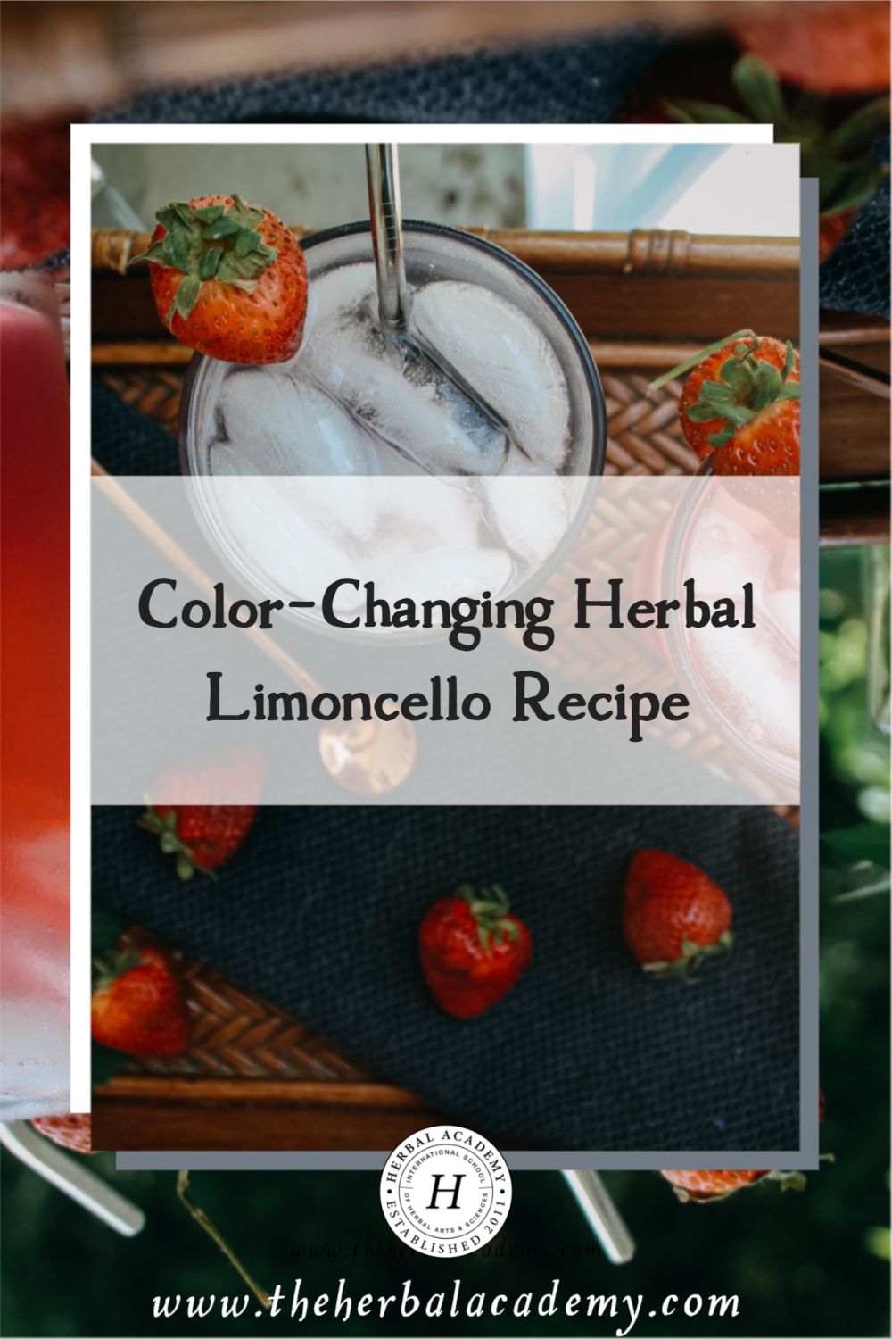 Color-Changing Herbal Limoncello Recipe | Herbal Academy | This fun limoncello recipe is great to serve in front of an audience because it magically changes colors with the addition of lemon juice!