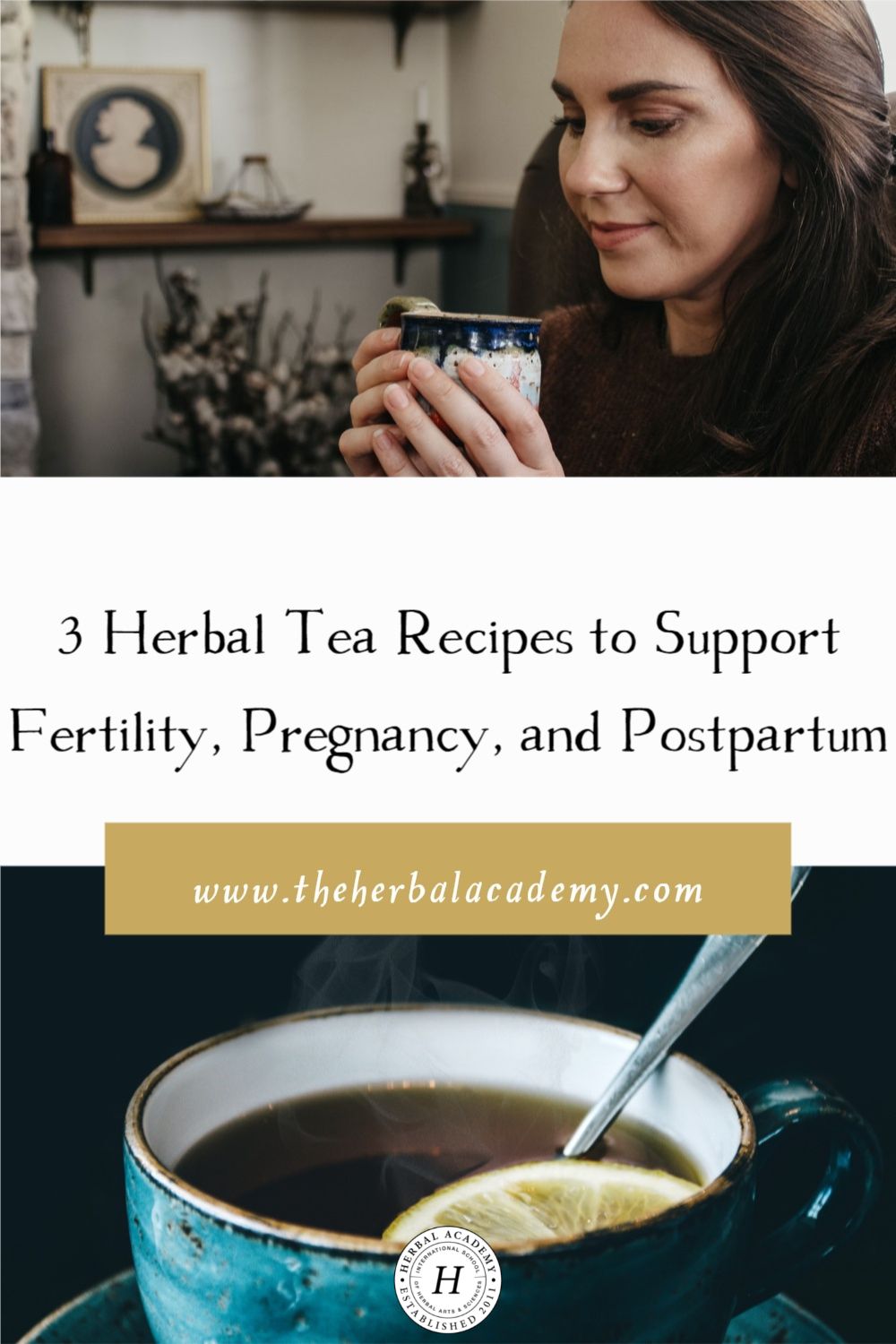 3 Herbal Tea Recipes to Support Fertility, Pregnancy, and Postpartum | Herbal Academy | Put the kettle on, because these herbal tea recipes are wonderful options for nourishing herbs during pregnancy, lactation, and postpartum.