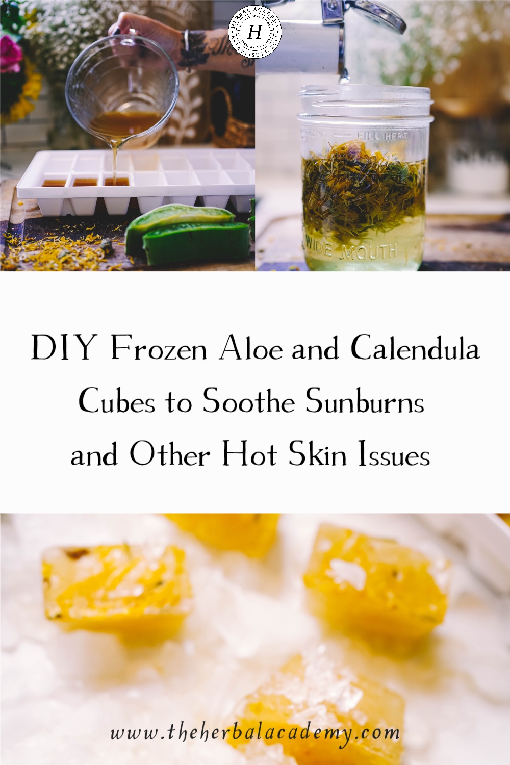 DIY Frozen Aloe and Calendula Cubes to Soothe Sunburns and Other Hot Skin Issues | Herbal Academy | This DIY herbal ice cube recipe provides a cooling effect that instantly brings down the heat to soothe burns and other hot skin issues.
