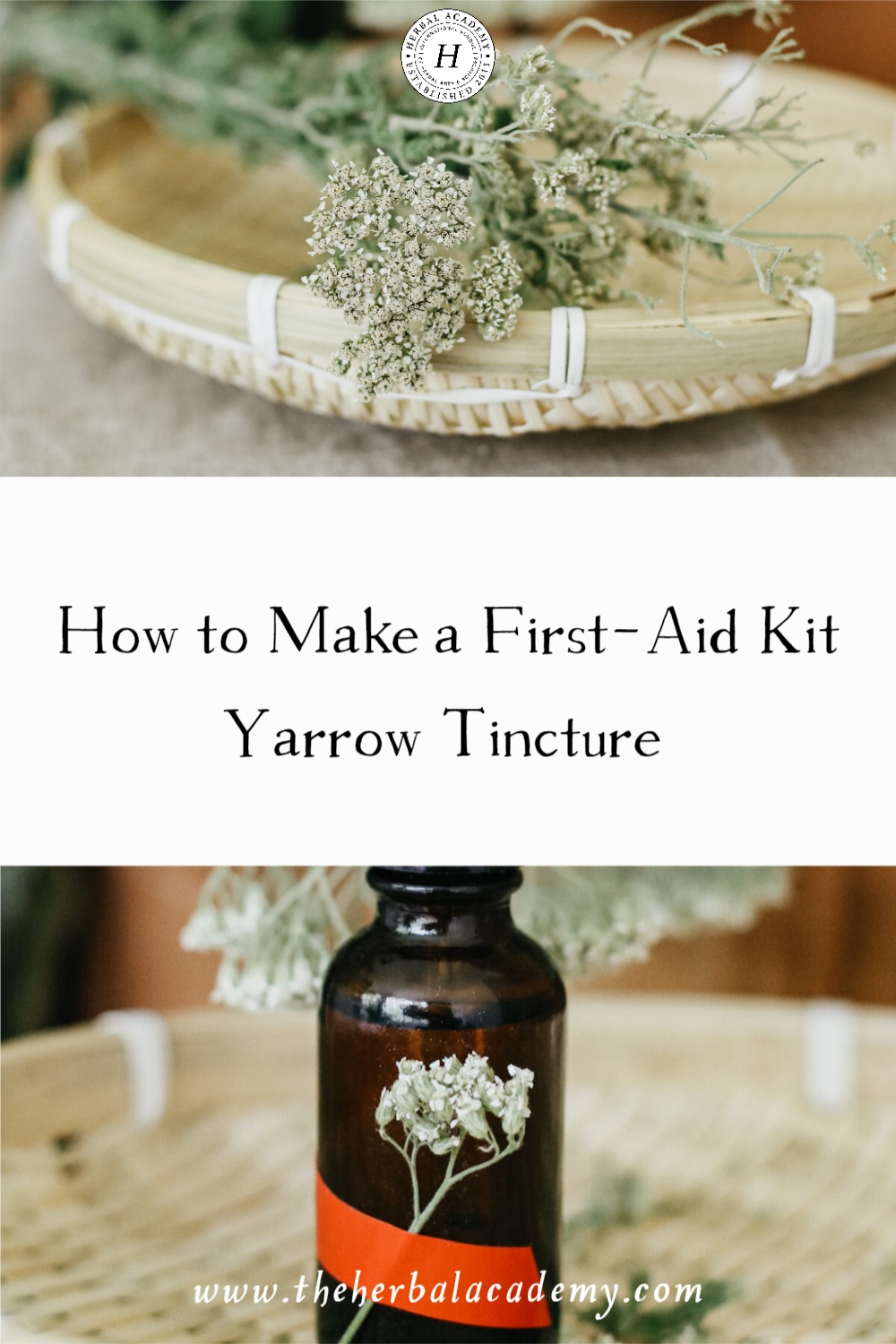 How to Make a First-Aid Kit Yarrow Tincture | Herbal Academy | Yarrow tincture is a wonderful addition to your first-aid kit to help you be prepared for any unfortunate bump in your herbal adventures!