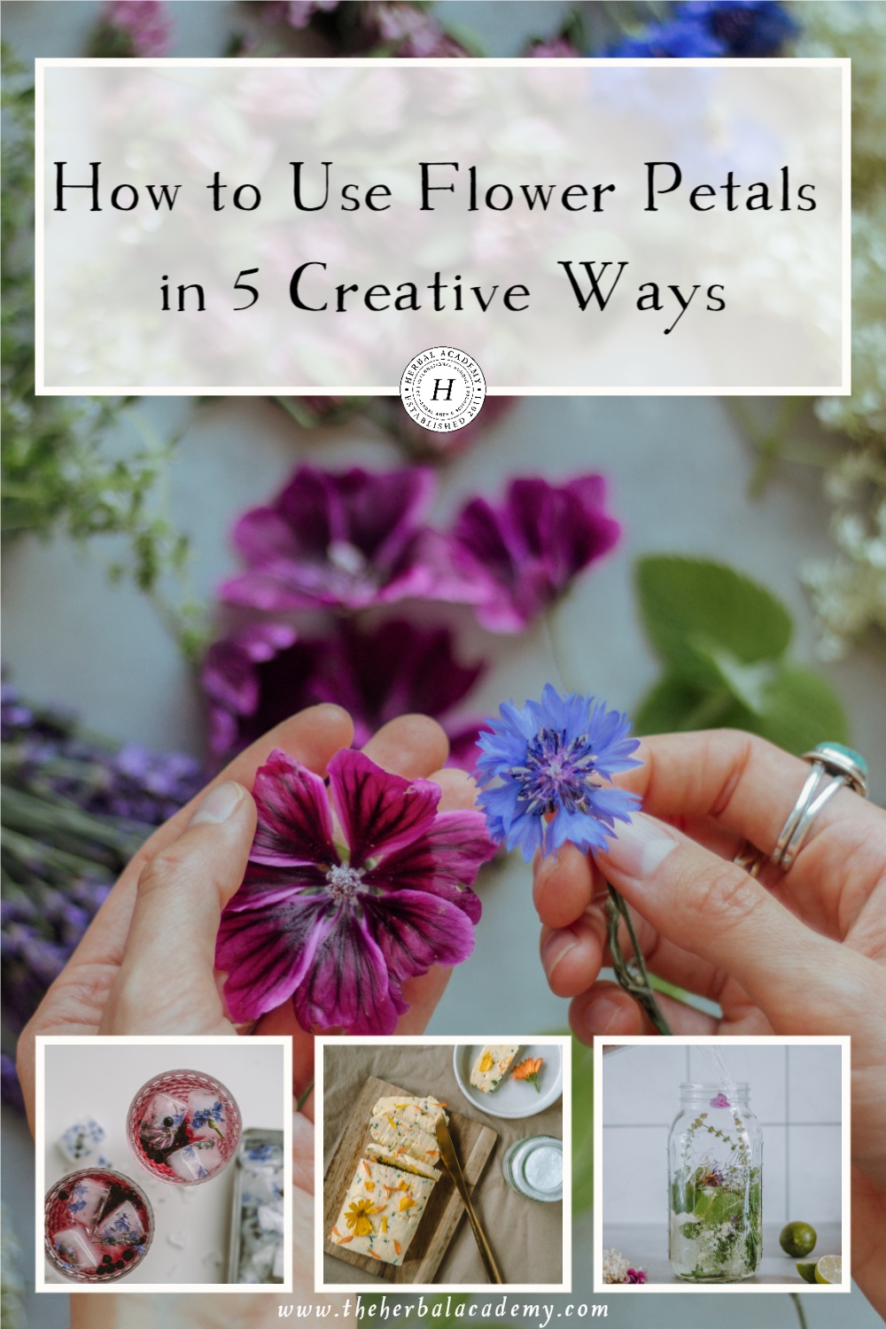 How to Use Flower Petals in 5 Creative Ways | Herbal Academy | To inspire you to take advantage of the endless uses of flower petals, let’s explore how to use flower petals in five creative ways.