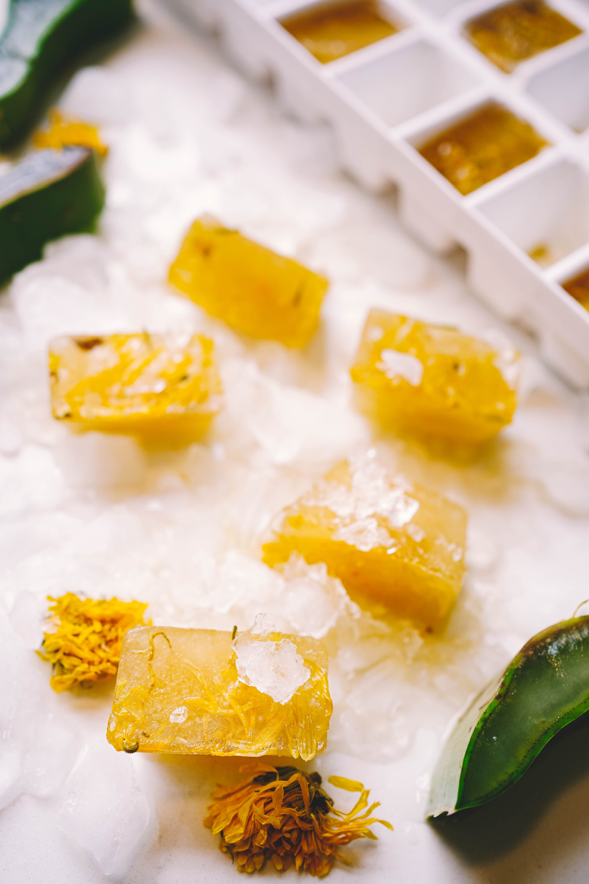 aloe and calendula ice cubes