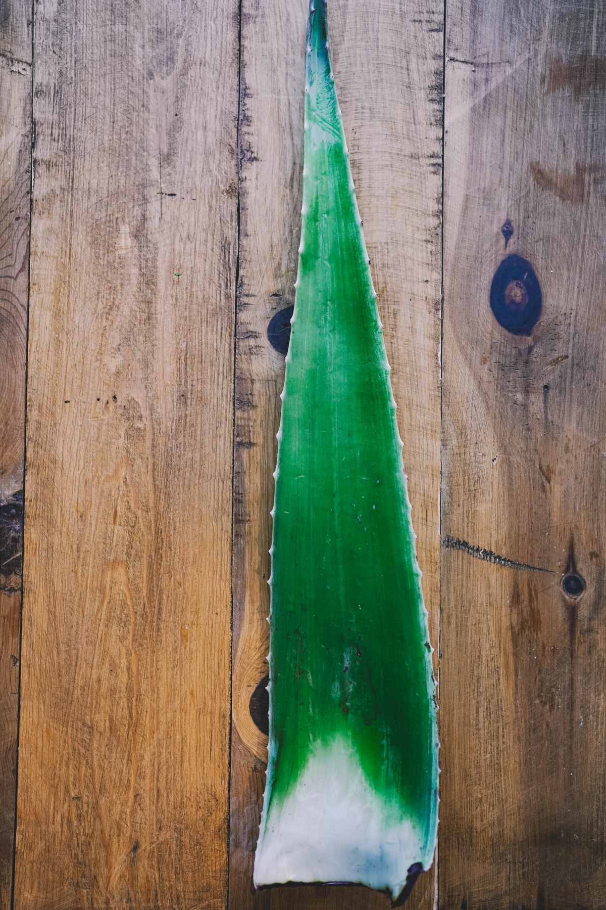 aloe leaf laying on a wooden table