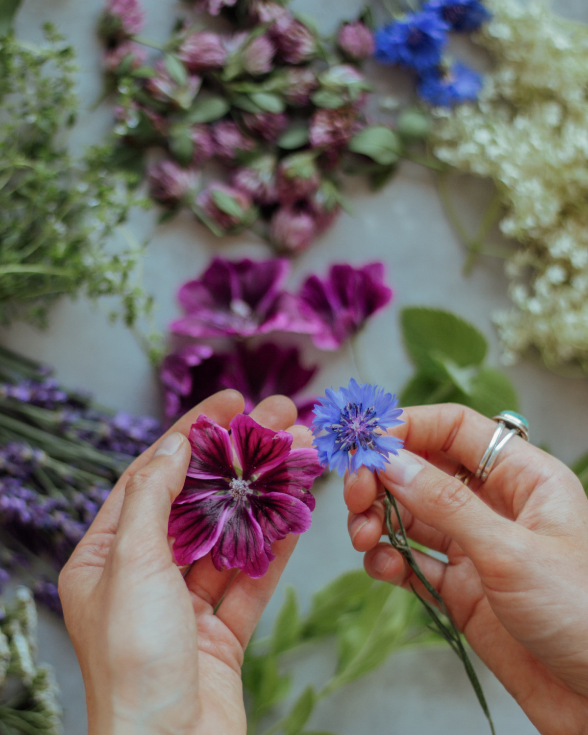 hands holding edible flowers