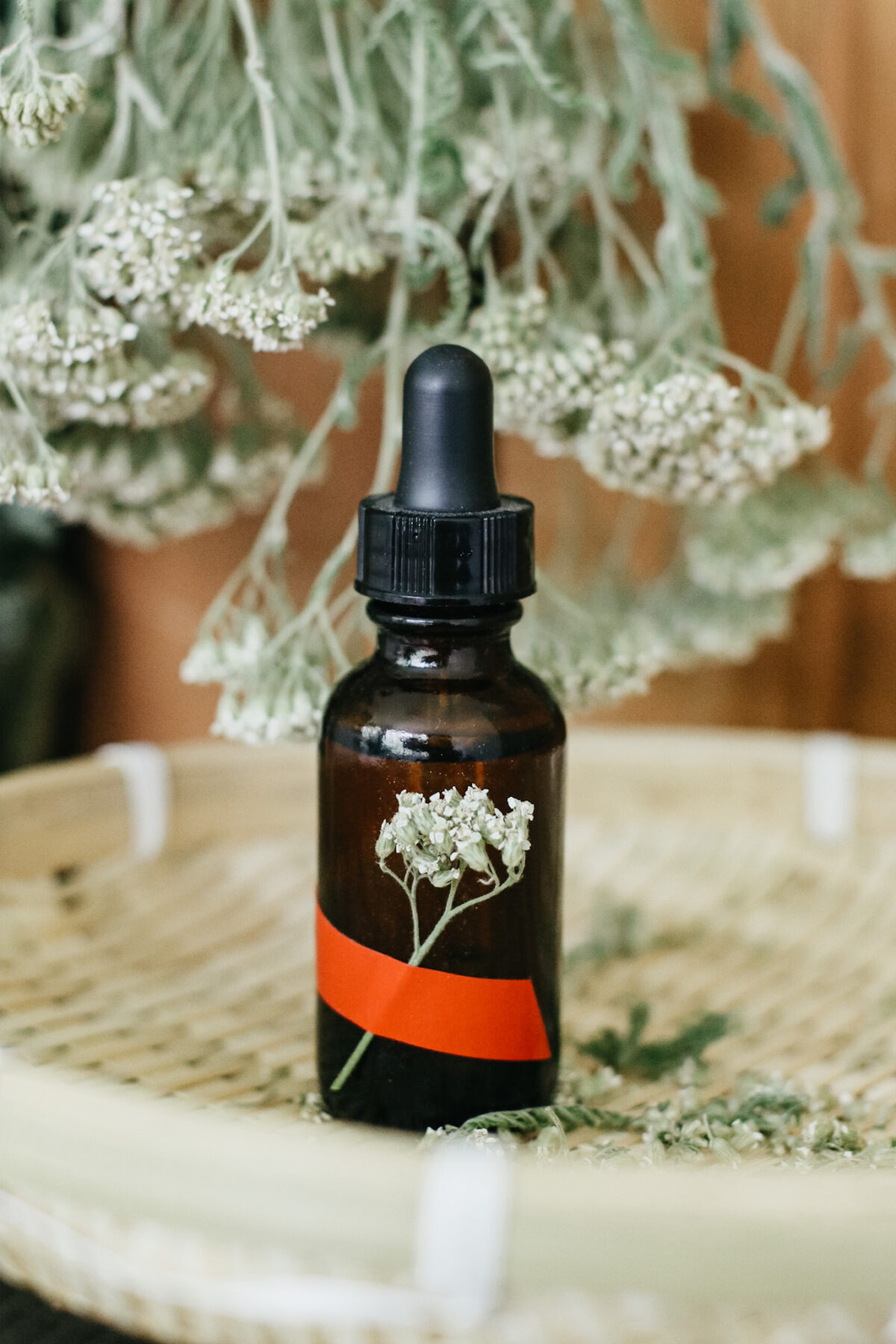 yarrow tincture sitting on basket with yarrow hanging in background