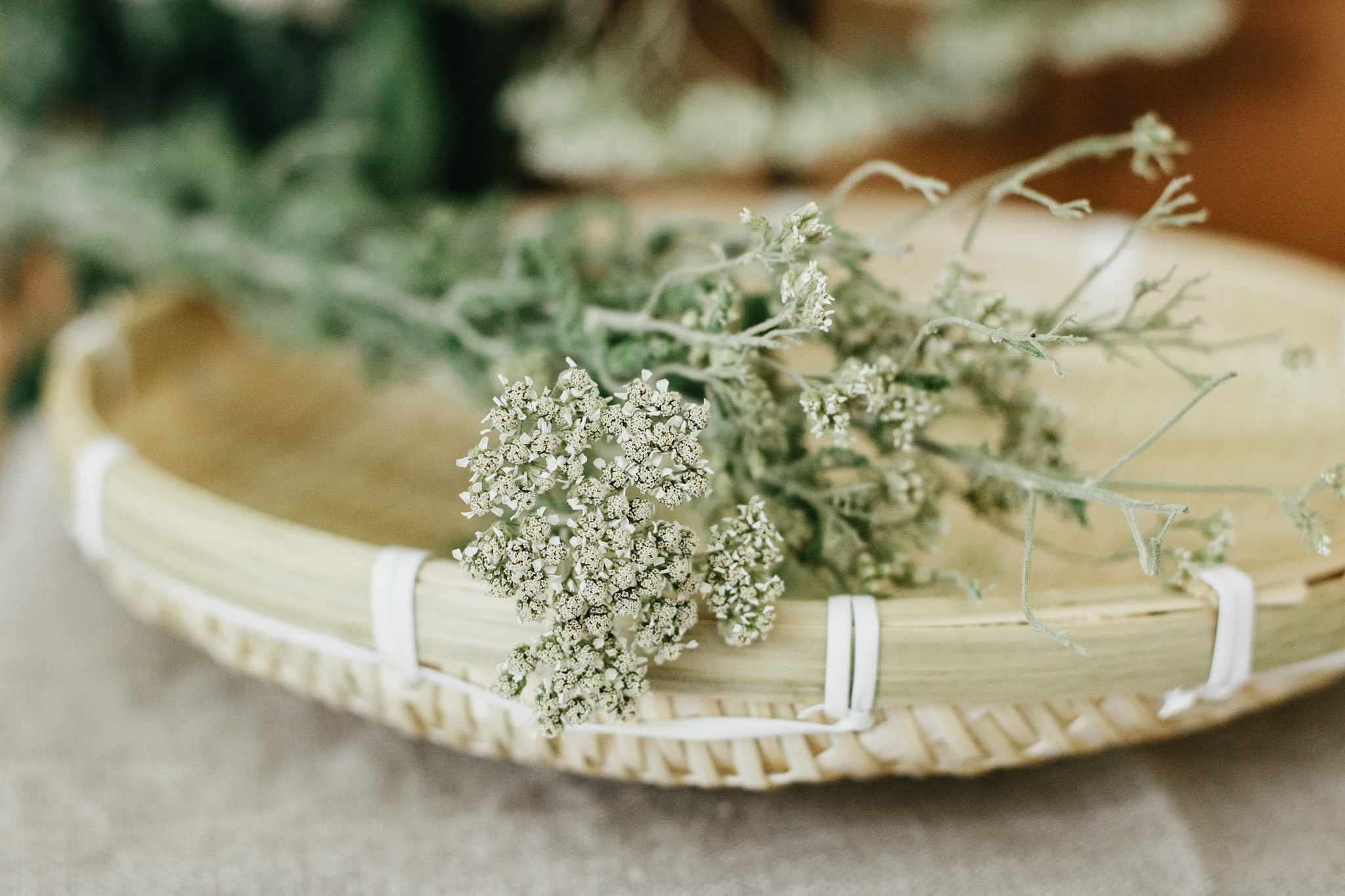 yarrow in basket