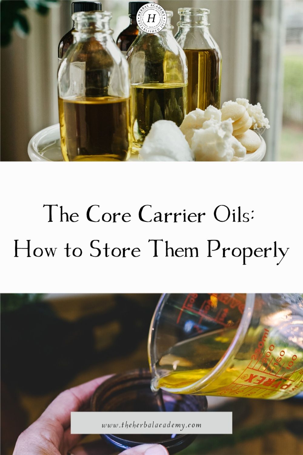 The Core Carrier Oils: How to Store Them Properly | Herbal Academy | This excerpt from the book, The Carrier Oil Palette, teaches us how to properly store carrier oils to maximize their shelf life.