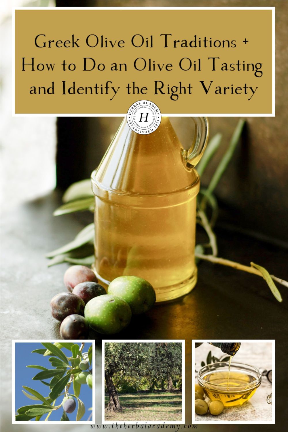 Greek Olive Oil Traditions + How to Do an Olive Oil Tasting and Identify the Best Variety | Herbal Academy | The benefits of high-quality olive oil have wide-ranging, lasting effects on the body and can support the body in many ways.