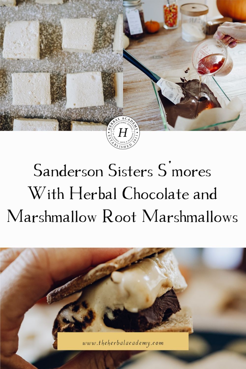 Sanderson Sisters S’mores With Herbal Chocolate and Marshmallow Root Marshmallows | Herbal Academy | Pair your tradition of watching Hocus Pocus with these easy-to-make Sanderson Sisters S’mores. The pillowy texture, sweet herbal flavors, and unique ingredients take s’mores to the next level!