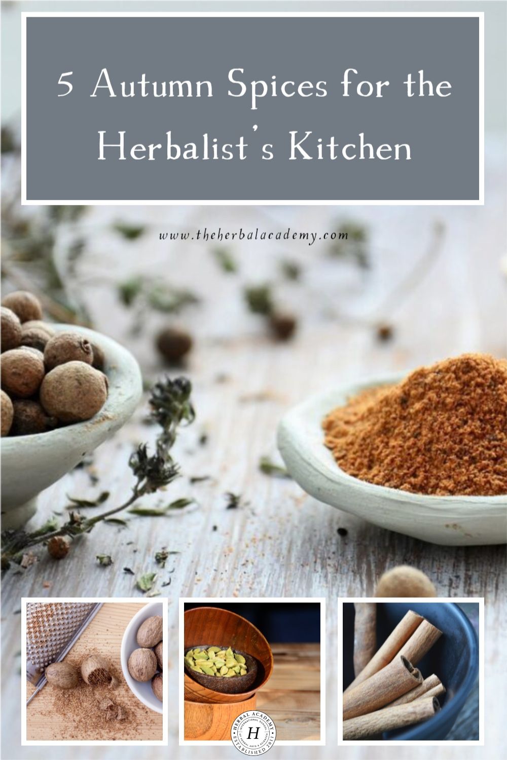 5 Autumn Spices for the Herbalist’s Kitchen | Herbal Academy | The fall harvest offers a wealth of delicious, comforting food choices, and the opportunity to enjoy seasonal foods with autumn spices.