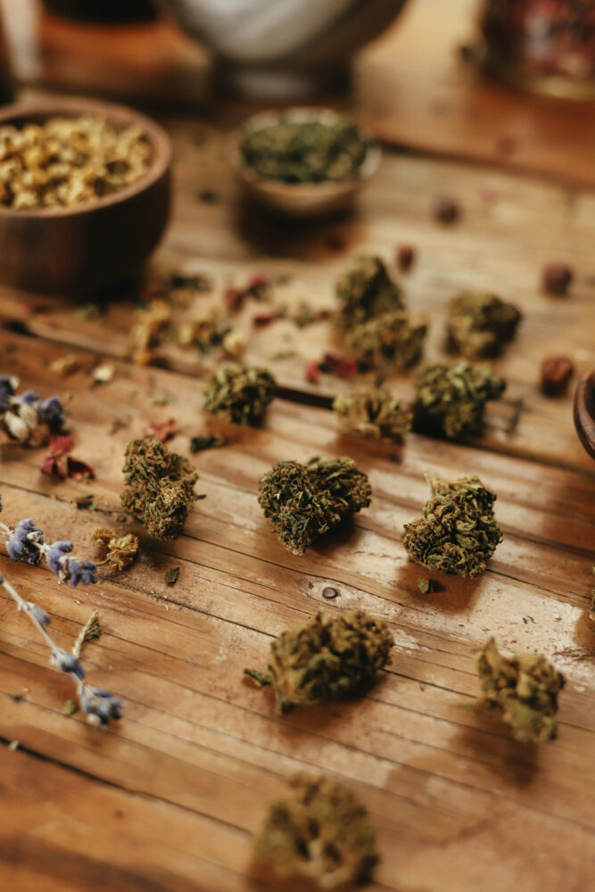 Cannabis for Herbalists