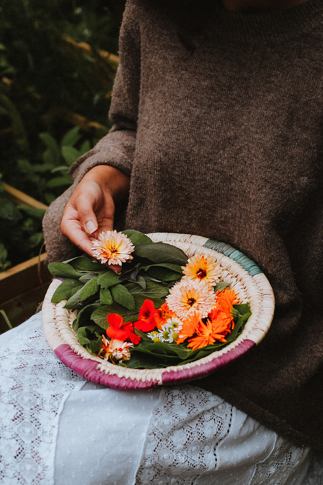 hand holding a flower from a basket