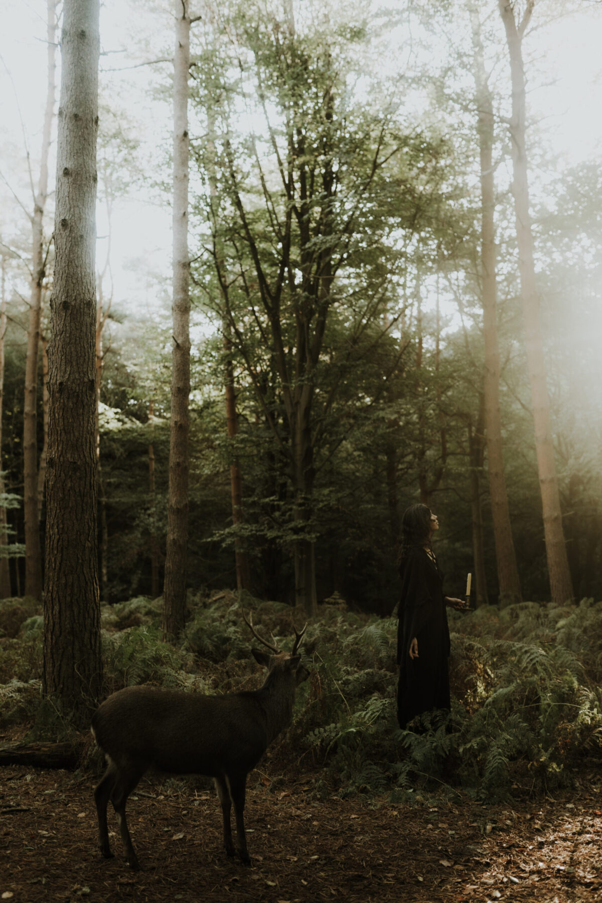 woman holding a candle and looking up with a deer nearby