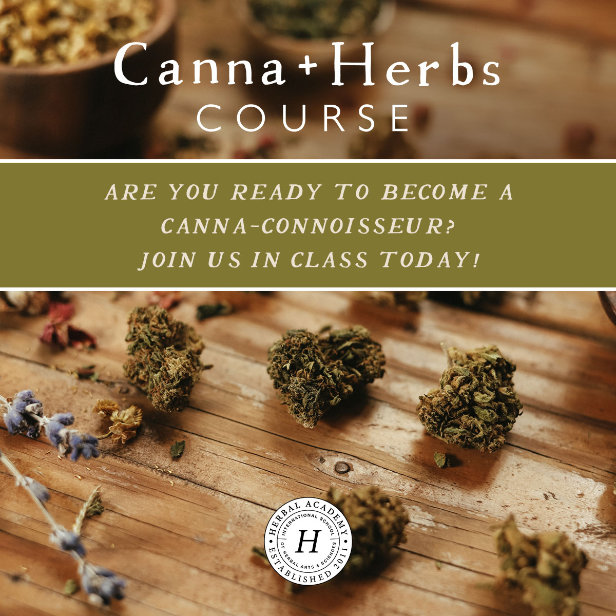 Enroll in the Canna+Herbs Course today! 