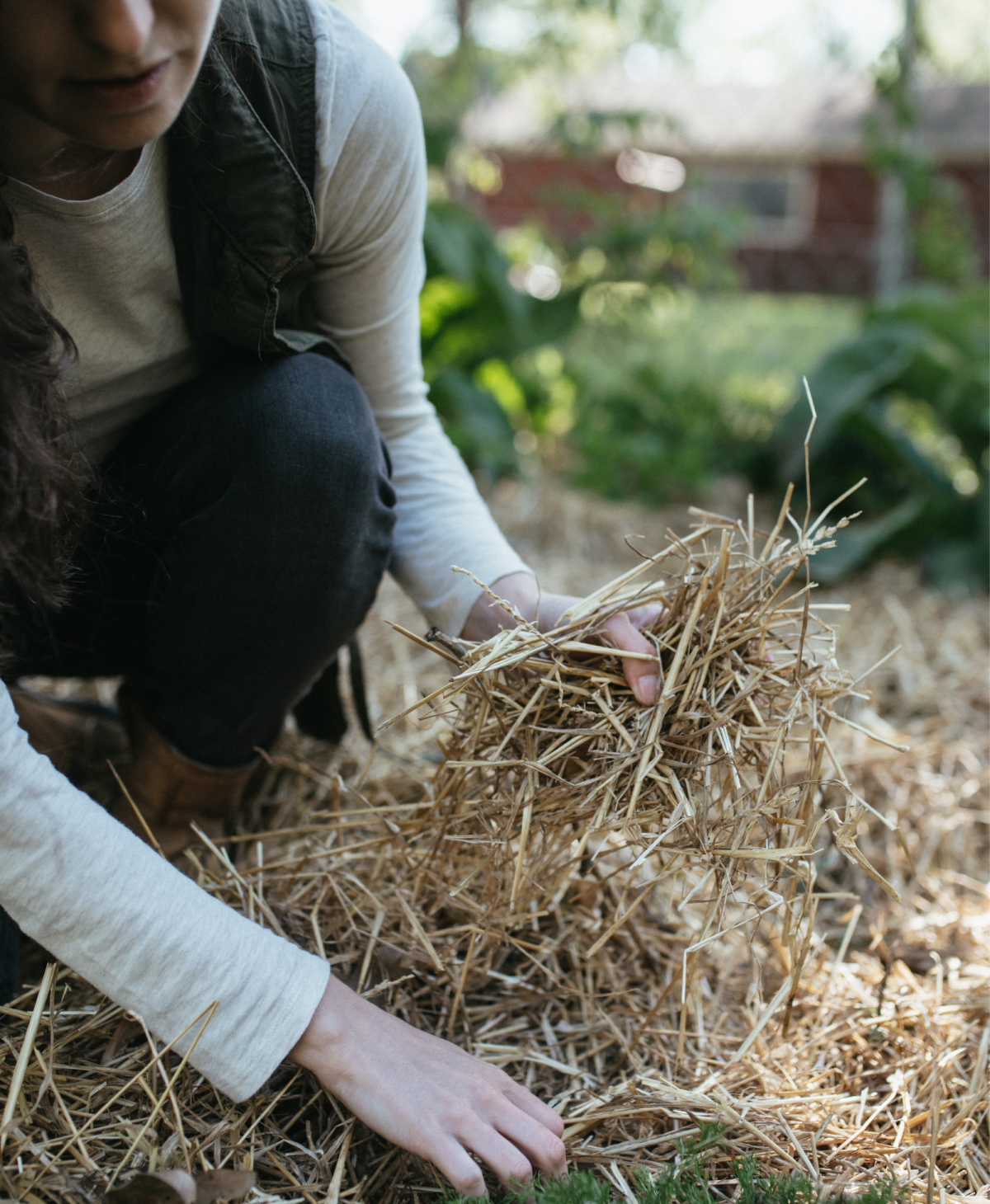 woman applying straw for overwintering garden