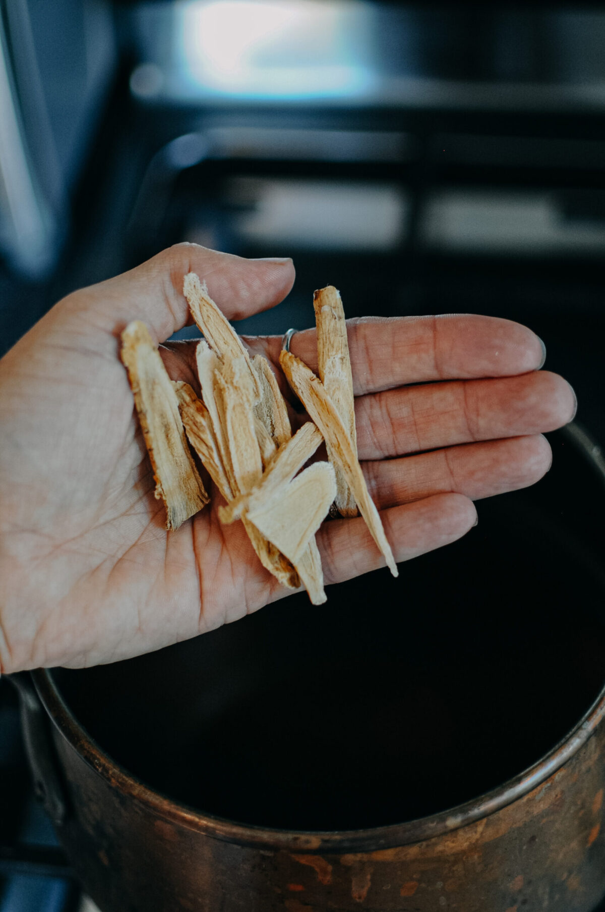 hand holding astragalus