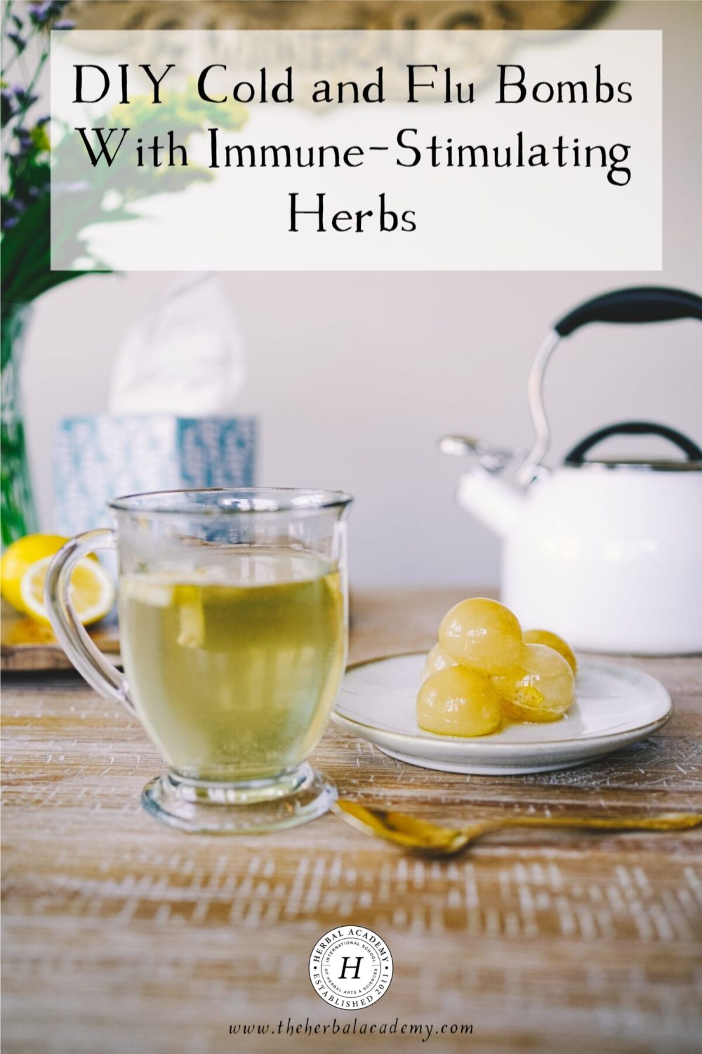 DIY Cold and Flu Bombs With Immune-Stimulating Herbs | Herbal Academy | One option for preparing ahead for cold and flu season is by making a simple recipe like these DIY cold and flu bombs!