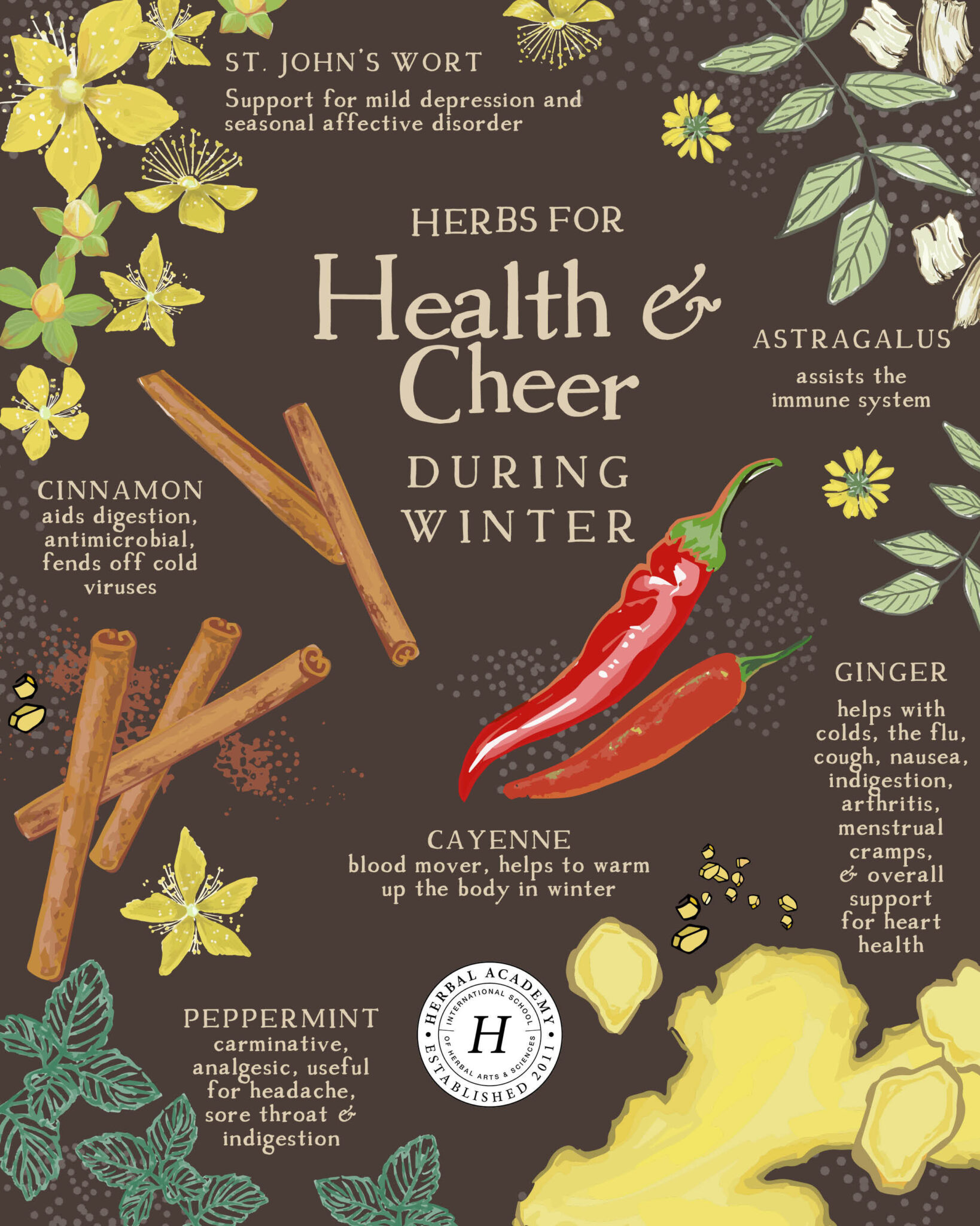 Herbs for Health and Cheer During Winter – Herbal Academy