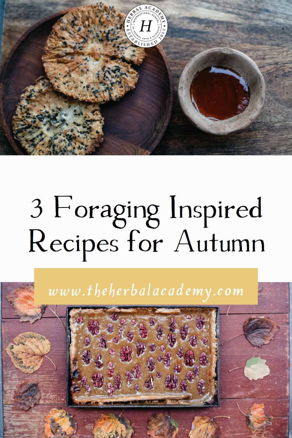 3 Foraging Inspired Recipes for Autumn | Herbal Academy | These mushroom burgers, mushroom tart, and walnut pie are recipes for autumn inspired by a foraging outing in the woods.