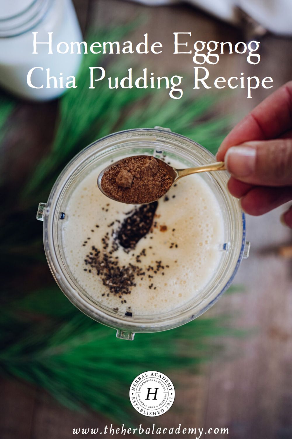 Homemade Eggnog Chia Pudding Recipe | Herbal Academy | Eggnog chia pudding is a wonderful dish full of warm spices that feels like the holidays and perfect for a morning snack, or holiday brunch.