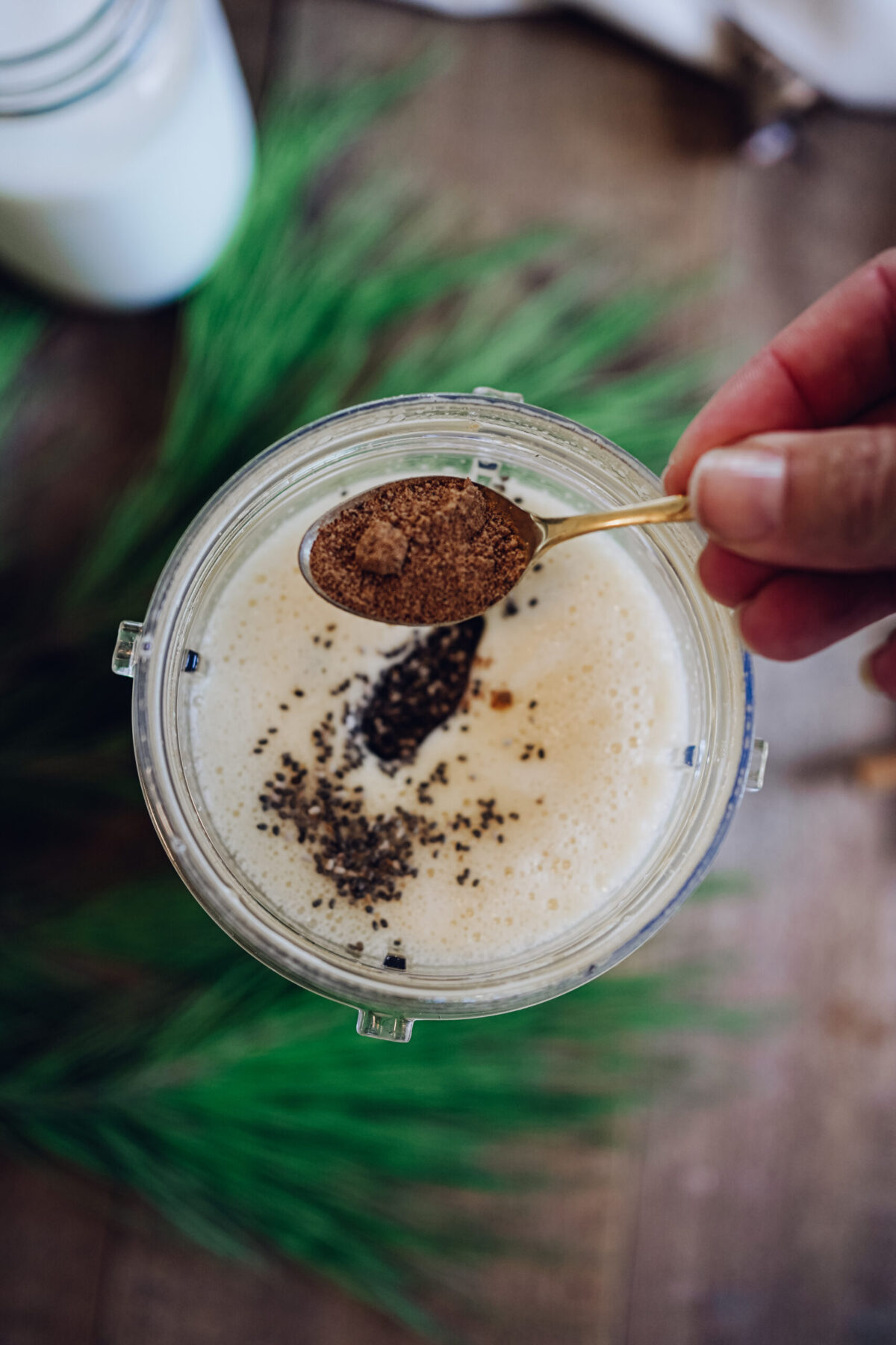 ingredients for eggnog chia pudding