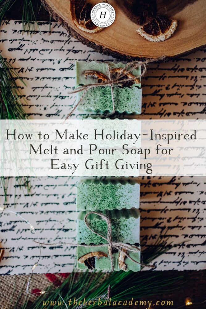 How to Make Holiday-Inspired Melt and Pour Soap for Easy Gift Giving ...