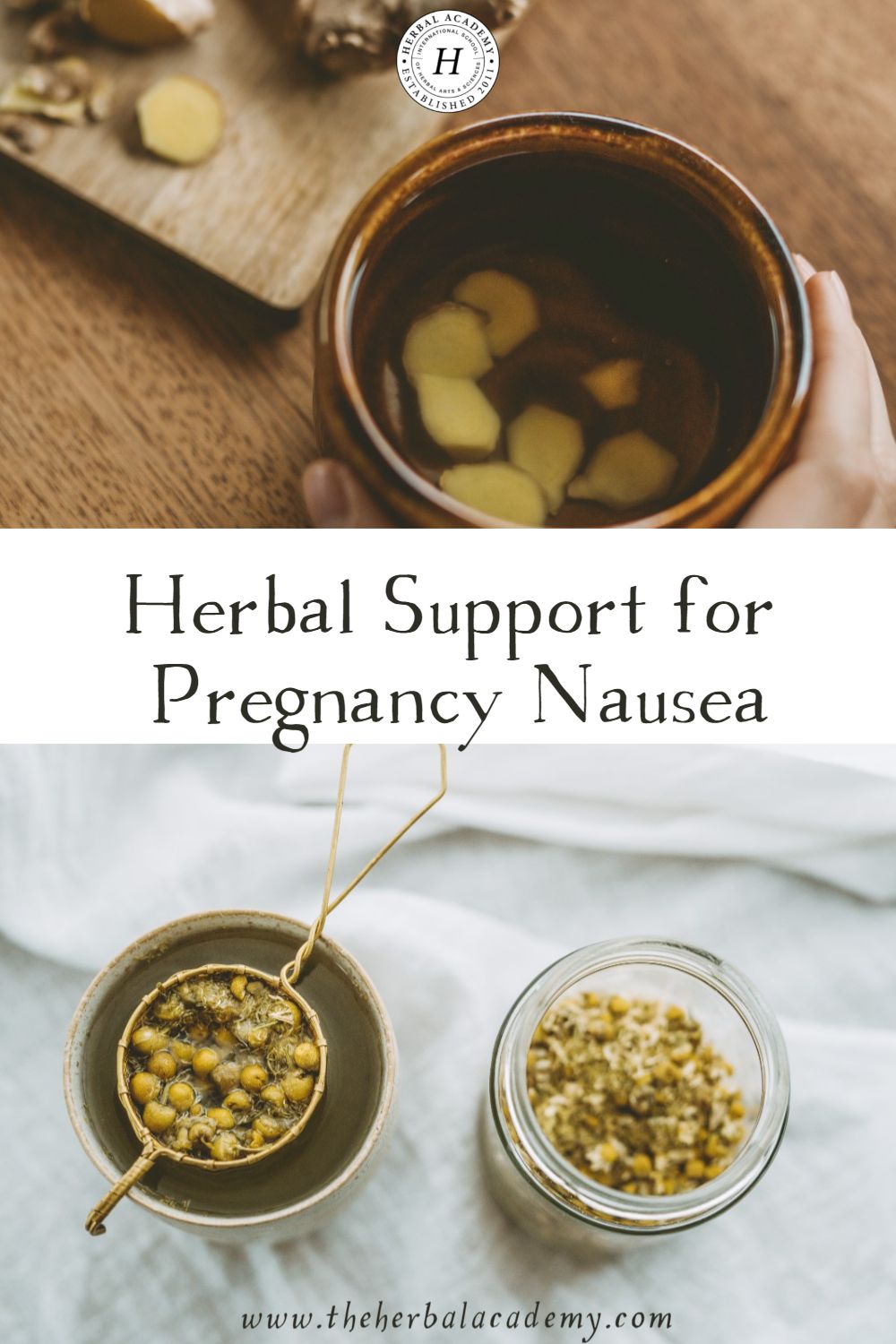 Herbal Support for Pregnancy Nausea | Herbal Academy | Even though early pregnancy nausea can be really challenging, you will find some holistic approaches and herbs to combat pregnancy nausea.