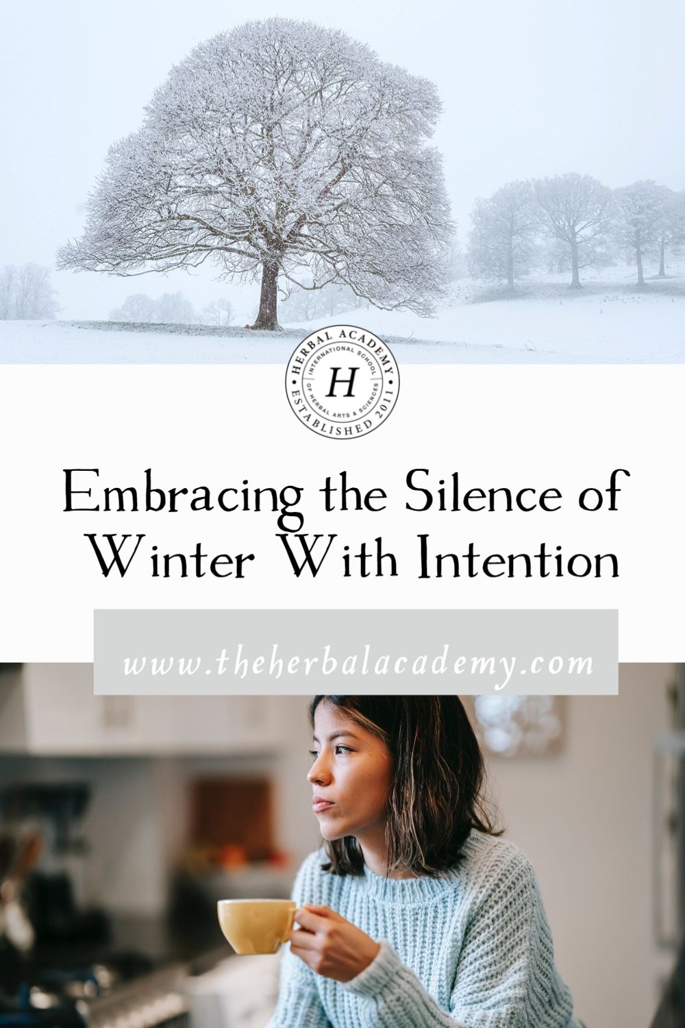 Embracing the Silence of Winter With Intention | Herbal Academy | There is much to gain when we learn how to embrace and work with the energy of this season and the silence of winter.