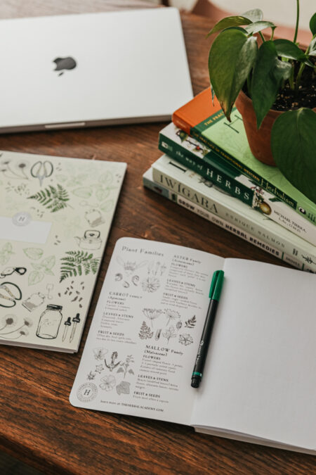 Botanical Notebook set by Herbal Academy-7