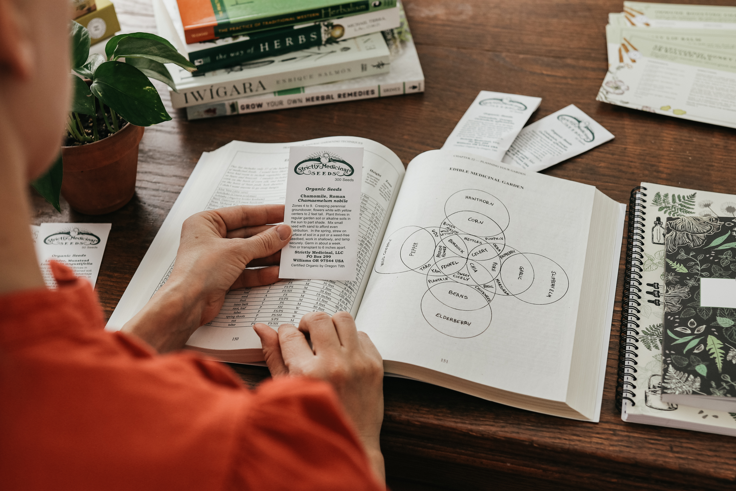 woman holding seed packet with open book