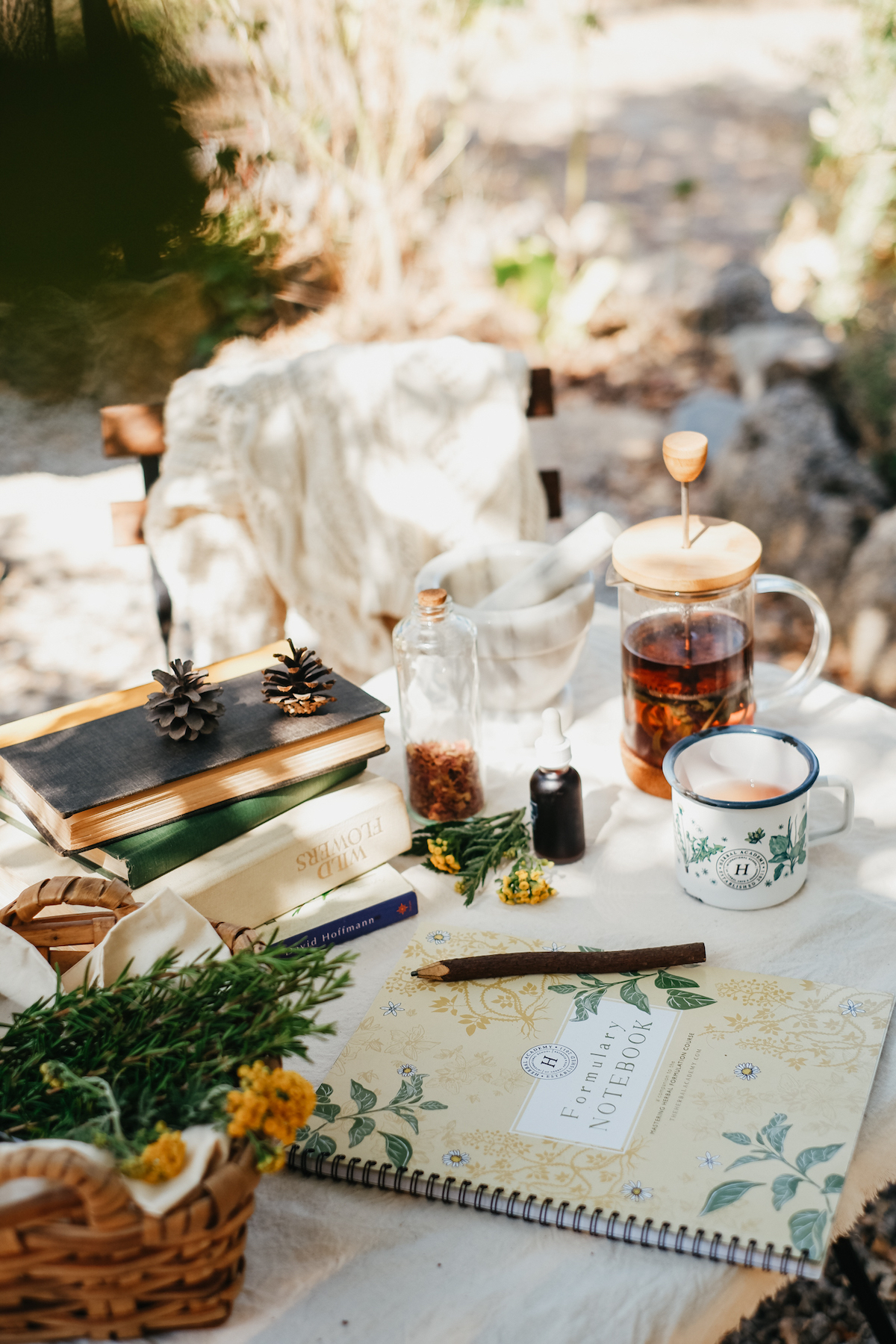 My Herbal Study Scene – develop your love for herbs AND your love for learning. Build confidence in your herbal studies in this Free Herbal Course by Herbal Academy!