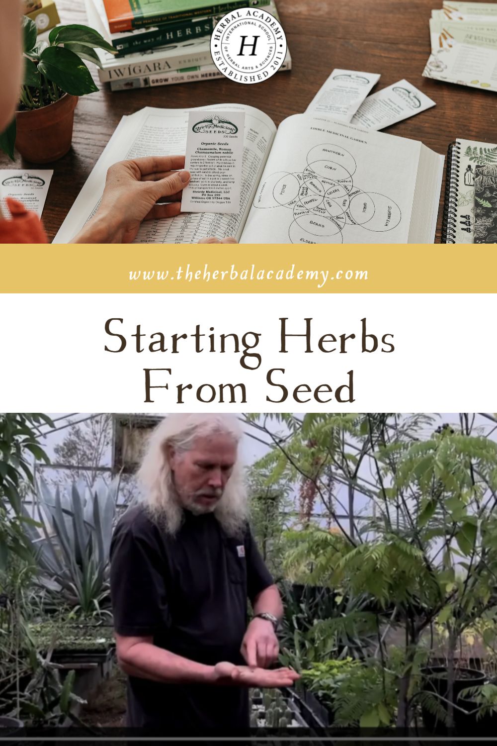 Starting Herbs From Seed | Herbal Academy | We are sharing Richo Cech’s new book, Growing Plant Medicine, with you to give you some knowledge for starting herbs from seed.