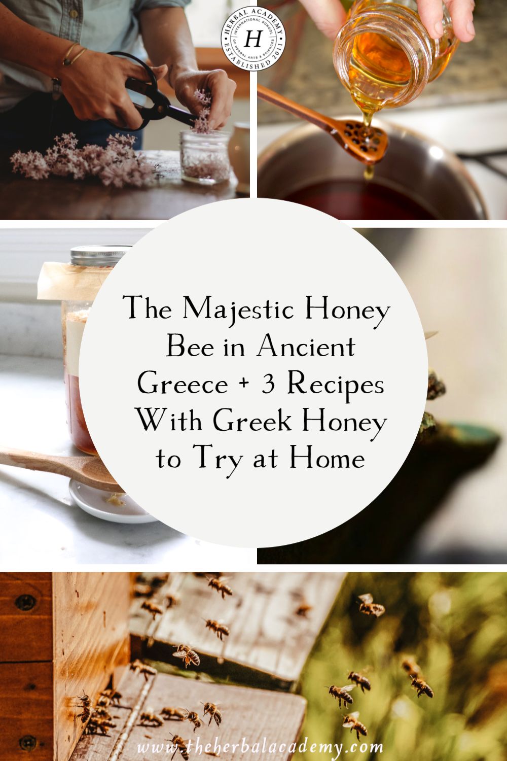 The Majestic Honey Bee in Ancient Greece + 3 Recipes with Greek Honey to Try at Home | Herbal Academy | We will explore the remarkable history of the honey bee in ancient Greece and learn about delicious honey recipes to try at home.
