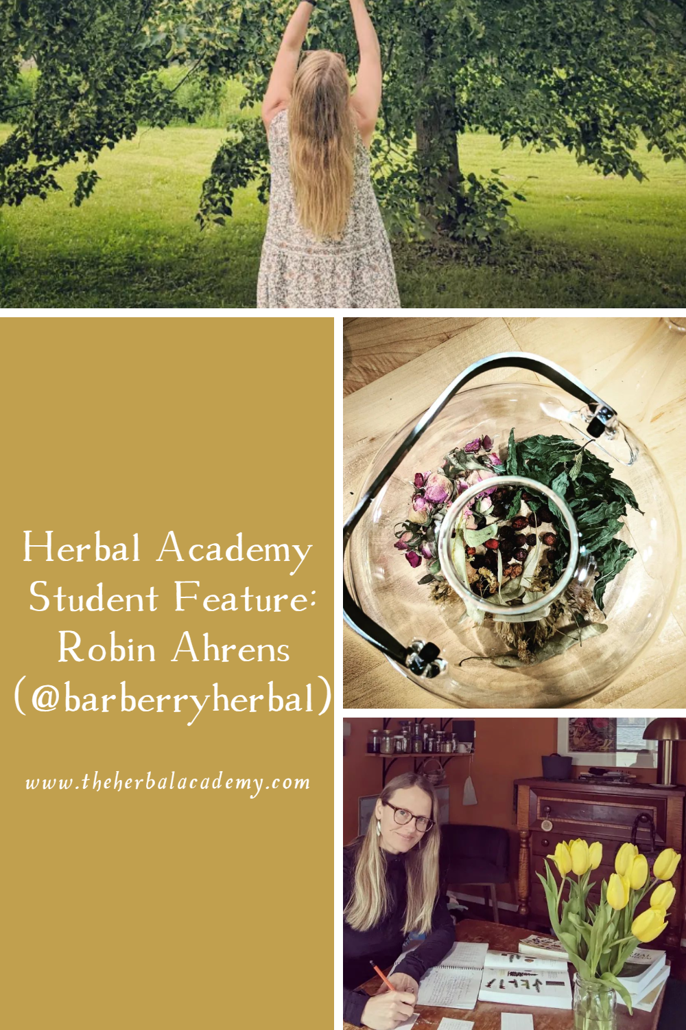 Herbal Academy Student Feature: Robin Ahrens (@barberryherbal) | Herbal Academy | This interview is with Robin Ahrens who owns Barberry Herbal and teaches others how to forage and learn about the plants growing around them.