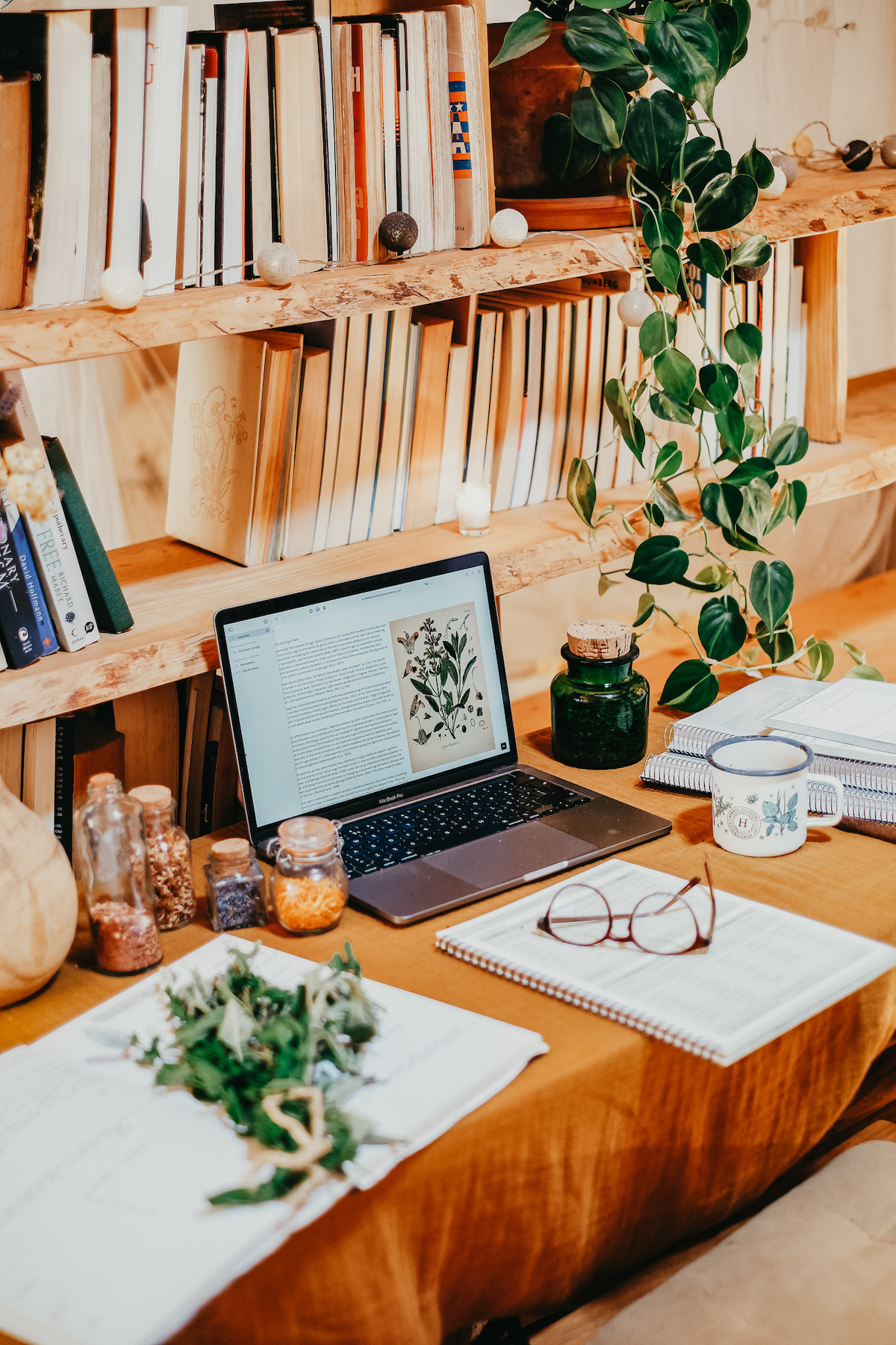 herbal study space