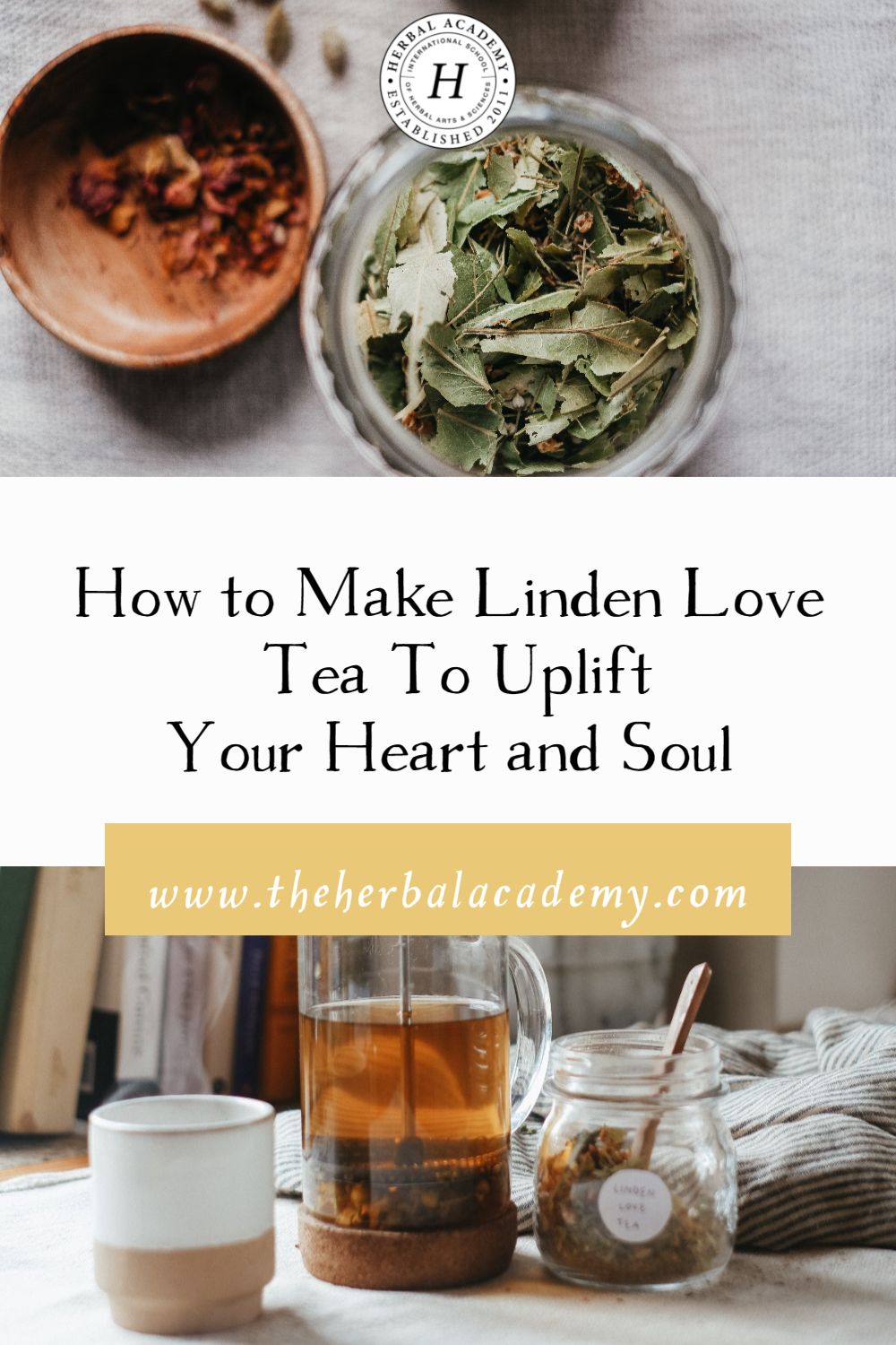 How to Make Linden Love Tea to Uplift Your Heart and Soul | Herbal Academy | This gentle Linden Love Tea recipe soothes the energetic heart and is the perfect thing to uplift yourself and soothe heartache and grief.